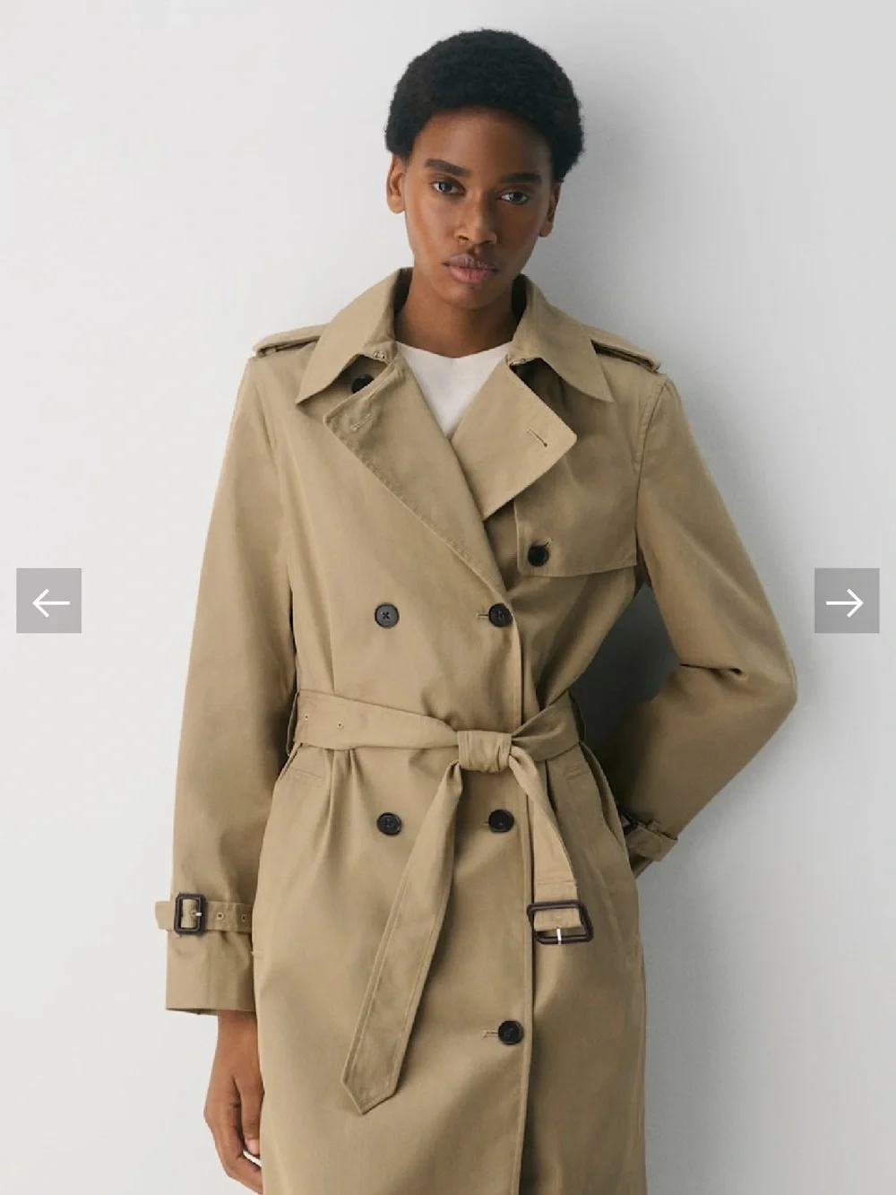 Aritzia New Finch Trench Coat